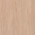 Tarkett Standard Plus<br>21003 914