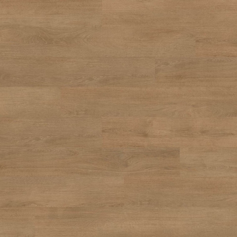 北歐森林<br>6554